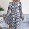 Animal Print Ruched Long Sleeve Mini Dress
